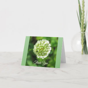 Green and White Clover - Thank You Card