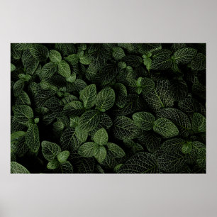 GREEN AND WHITE LEAF PLANT POSTER