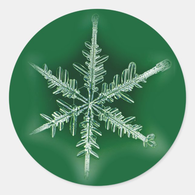 Green and White Snowflake Sticker (Front)