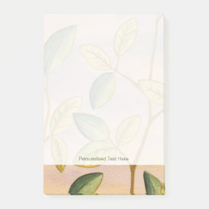 Green and Yellow Leaves on Sunset Background Post-it Notes