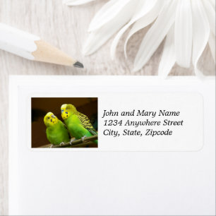 Green and Yellow Parakeets Return Address Return Address Label