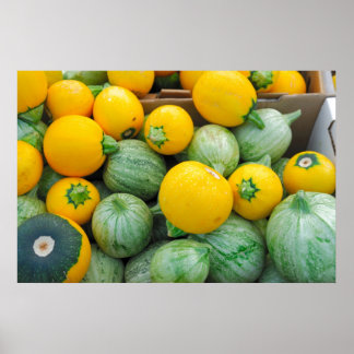 Green And Yellow Squash Poster