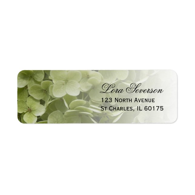 Green Annabelle Hydrangea Floral Return Address Label (Front)