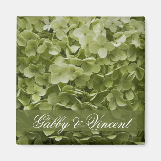 Green Annabelle Hydrangea Floral Wedding Magnet (Front)