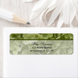 Green Annabelle Hydrangea Flower Return Address Return Address Label
