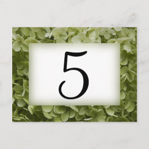 Green Annabelle Hydrangea Flower Table Numbers Postcard