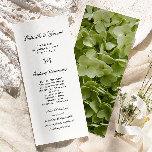 Green Annabelle Hydrangea Flower Wedding Program (Creator Uploaded)