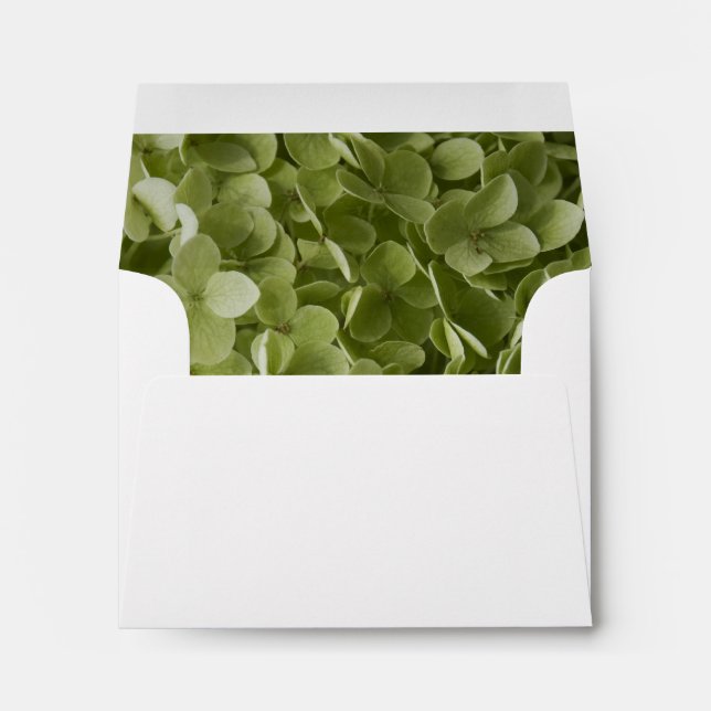 Green Annabelle Hydrangea Wedding RSVP Envelope (Back (Bottom))