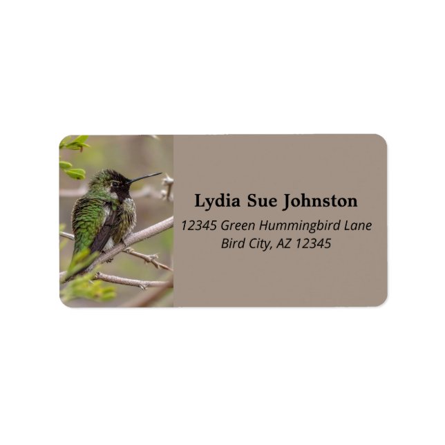 Green Anna's Hummingbird On Mesquite Tree Branch Label (Front)
