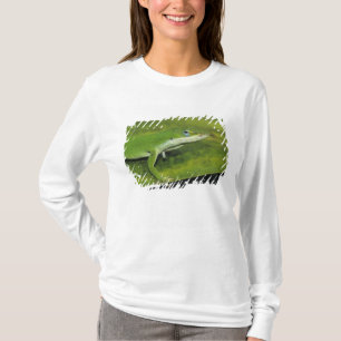 Green Anole, Anolis carolinensis, adult on palm T-Shirt