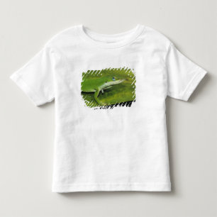 Green Anole, Anolis carolinensis, adult on palm Toddler T-Shirt