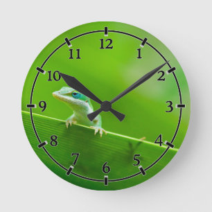 Green Anole Lizard Encounter Cute little thing Round Clock