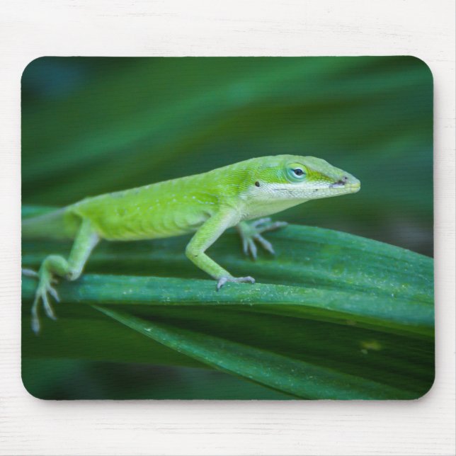 Green Anole Lizard Mouse Pad (Front)