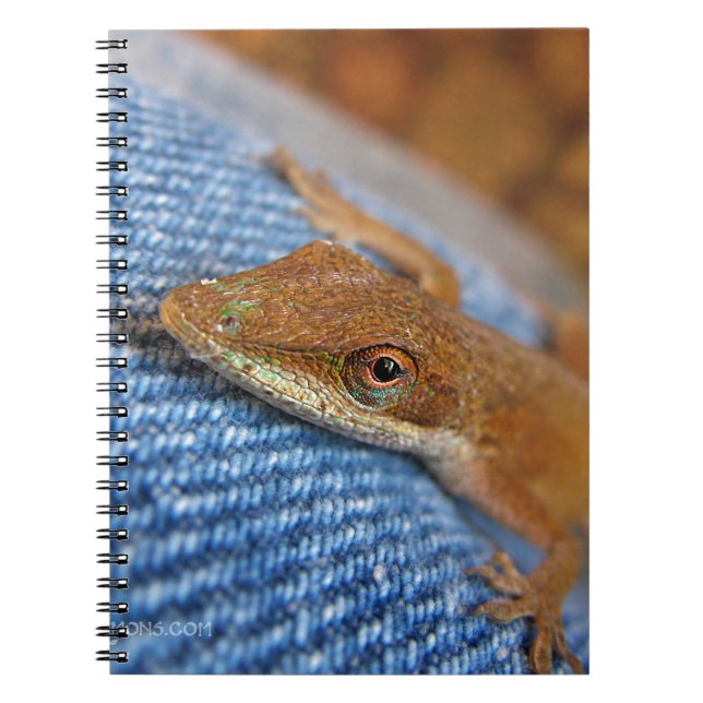 Green Anole Lizard Notebook (Front)