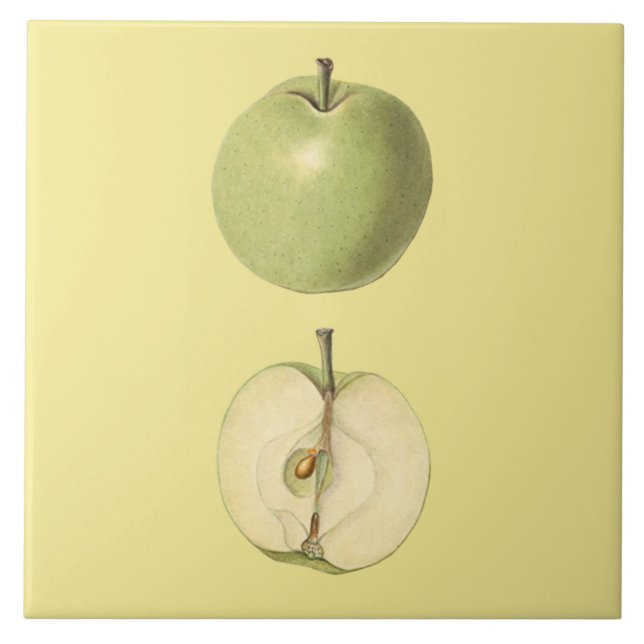 Green Apple Botanical Tile ~ Kitchen ~ Any Colour  (Front)