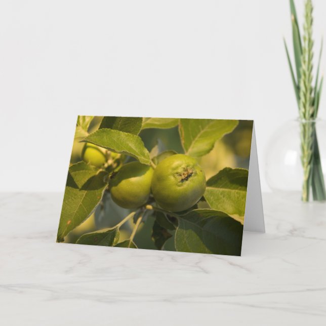 green apples card (Front)