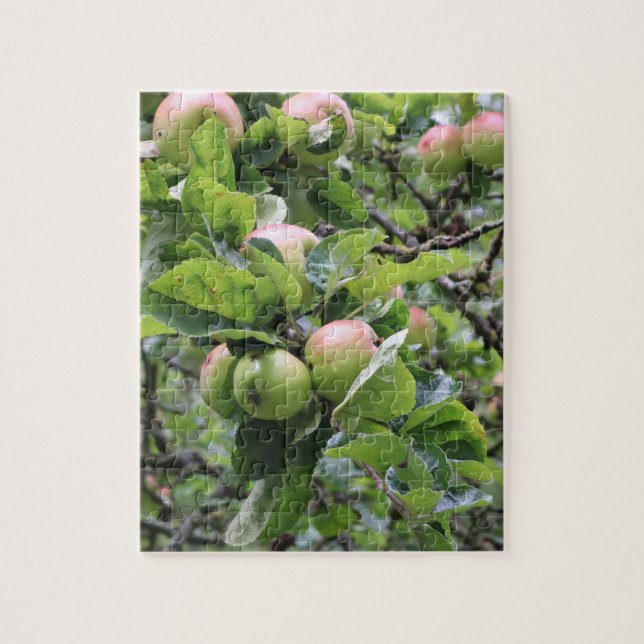 Green Apples on Tree Jigsaw Puzzle (Vertical)