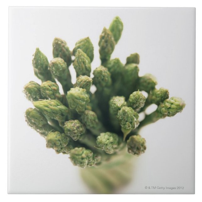 Green Asparagus Ceramic Tile (Front)