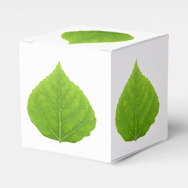Green Aspen Leaf #11 Favour Box (Front Side)
