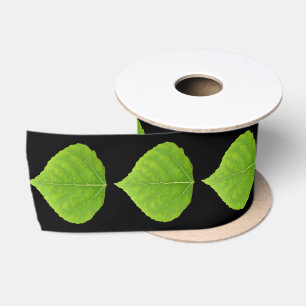 Green Aspen Leaf #11 Satin Ribbon