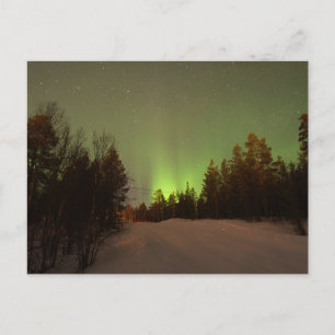 Green Aurora Borealis Over Snowy Forest Postcard