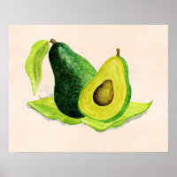 Green Avocado Still Life Fruit in Watercolors