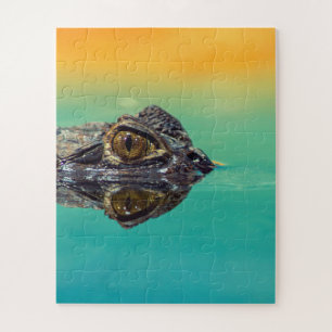 Green Baby Crocodile in Water with Blue and Orange Jigsaw Puzzle