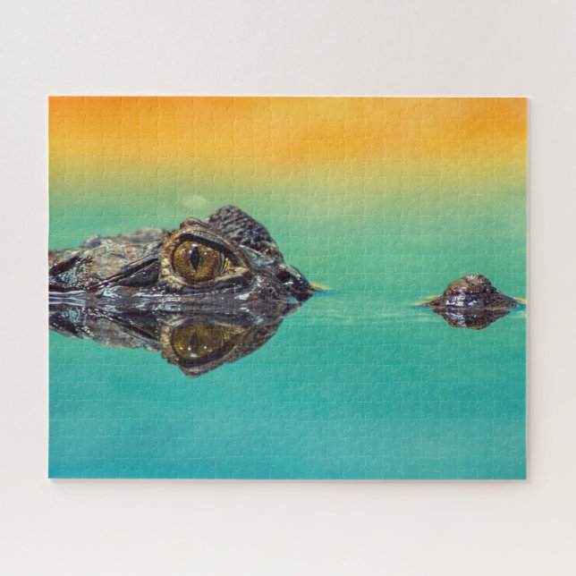 Green Baby Crocodile in Water with Blue and Orange Jigsaw Puzzle (Horizontal)