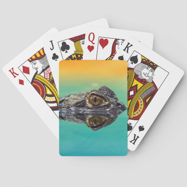 Green Baby Crocodile in Water with Blue and Orange Playing Cards (Back)