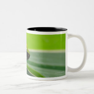 Green-backed mantella Two-Tone coffee mug
