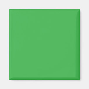 Green Background and White Border for a Modern Aes Magnet