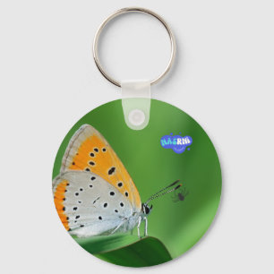 Green background & yellow,white butterfly & spider key ring