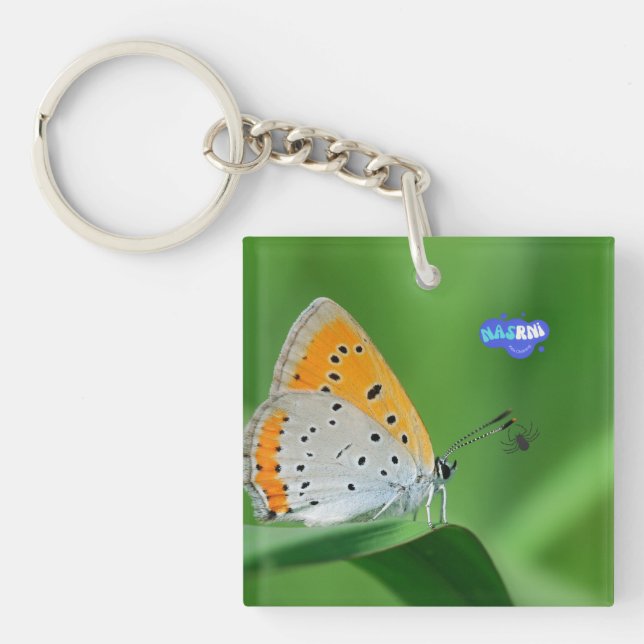 Green background & yellow,white butterfly & spider key ring (Front)