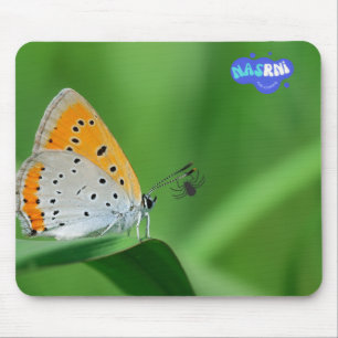 Green background & yellow,white butterfly & spider mouse pad