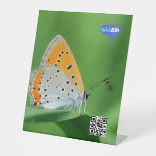 Green background & yellow,white butterfly & spider pedestal sign