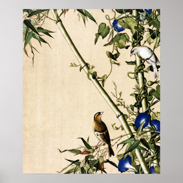 Green Bamboo and Morning Glory Fine Art Poster (Front)