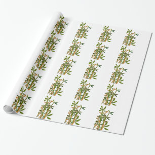 Green bamboo isolated on white background wrapping paper