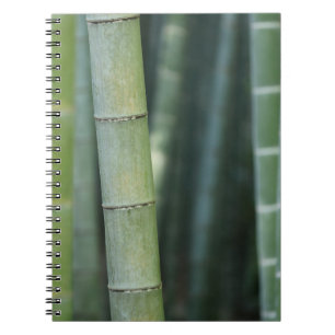 Green bamboo shoots notebook