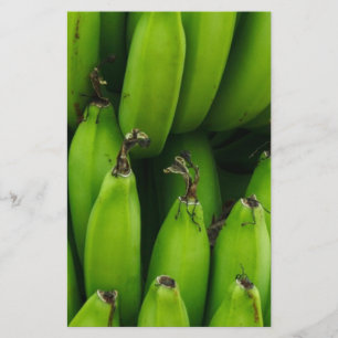 Green banana fruit pattern stationery
