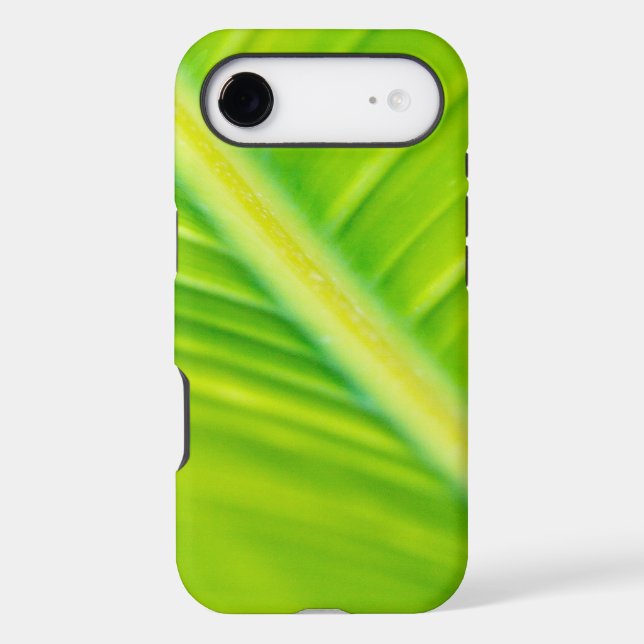green banana leaf (Back)