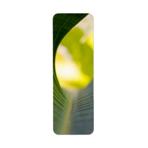 green banana leaf return address label