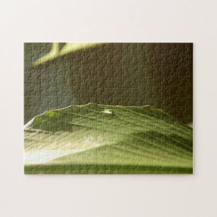 Green Banana Leaf with Water Droplet Colour Photo Jigsaw Puzzle