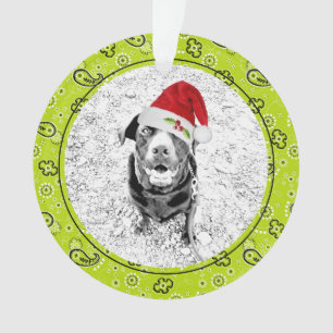 Green Bandanna Pet Photo NAME Christmas Fun Ornament