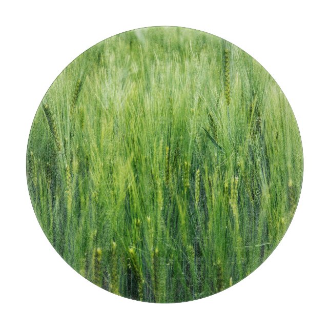 Green barley field, spring closeup. cutting board (Front)