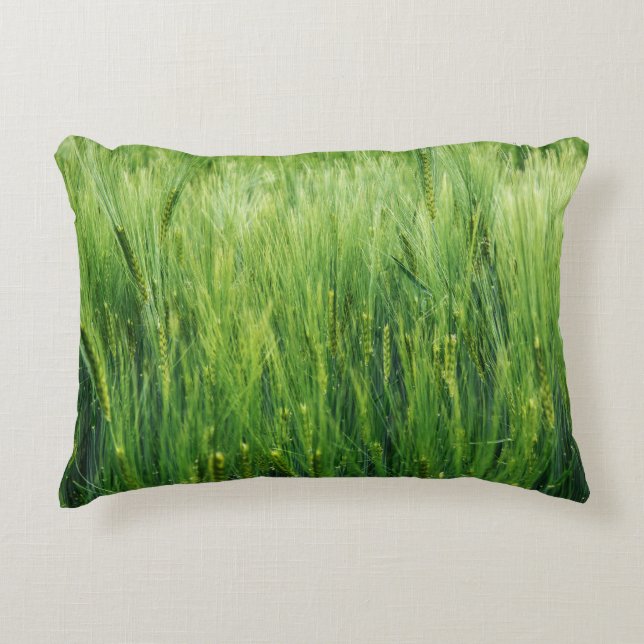 Green barley field, spring closeup. decorative cushion (Front)