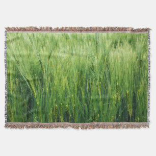 Green barley field, spring closeup. throw blanket