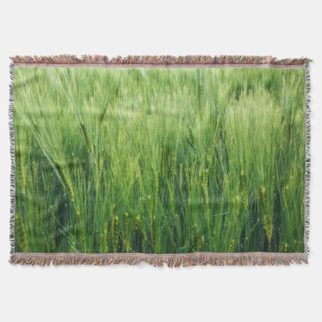 Green barley field, spring closeup. throw blanket (Front)