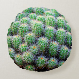 green barrel cactus round cushion