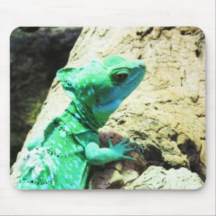 Green basilisk lizard mouse pad