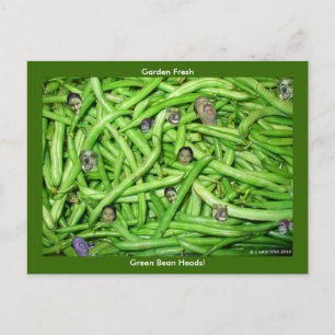 Green Bean Heads! Postcard